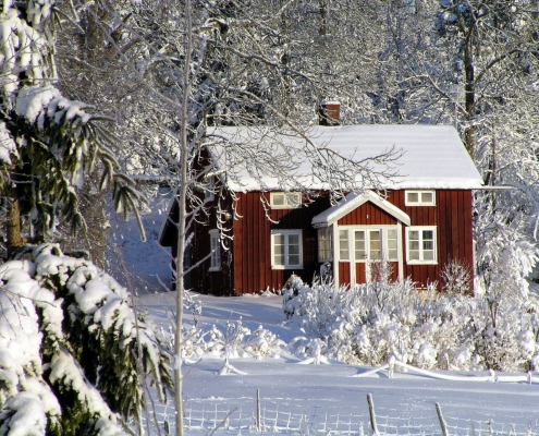 winter landscape