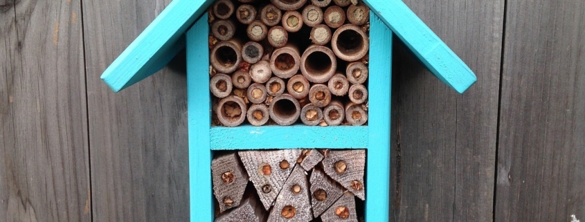 pollinator house